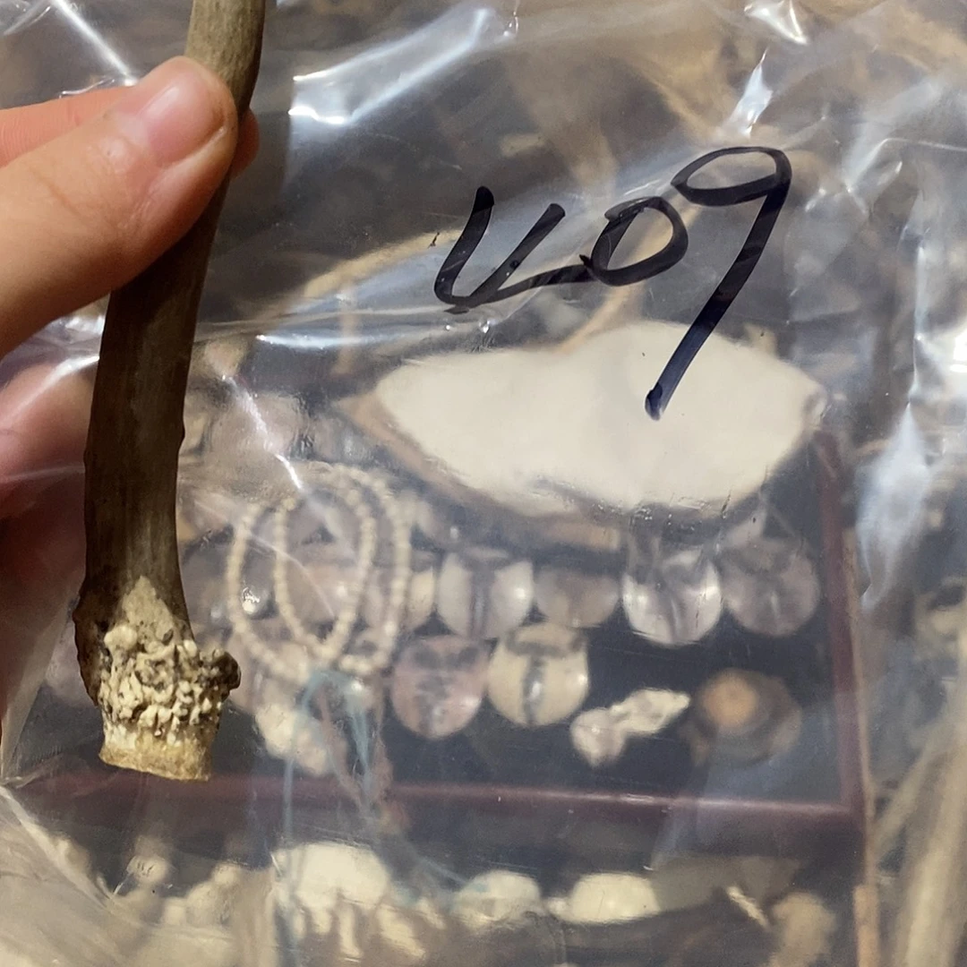 银***河非金属鹿角鹿角鹿角
