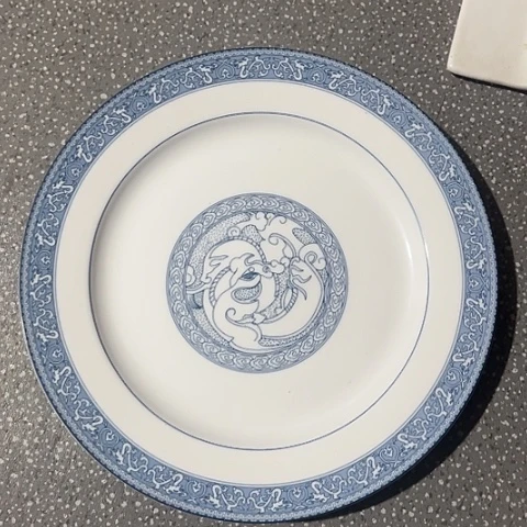 其他瓷10寸盘一个