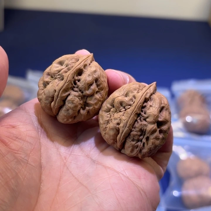 文玩核桃吊坠龙牙石