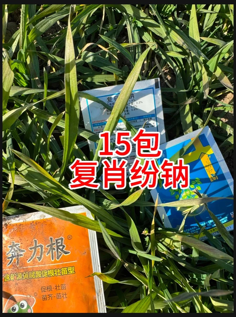 云仓15包复肖份呐调节作物生长叶片浓绿搭配奔力根肥料叶面肥吸收