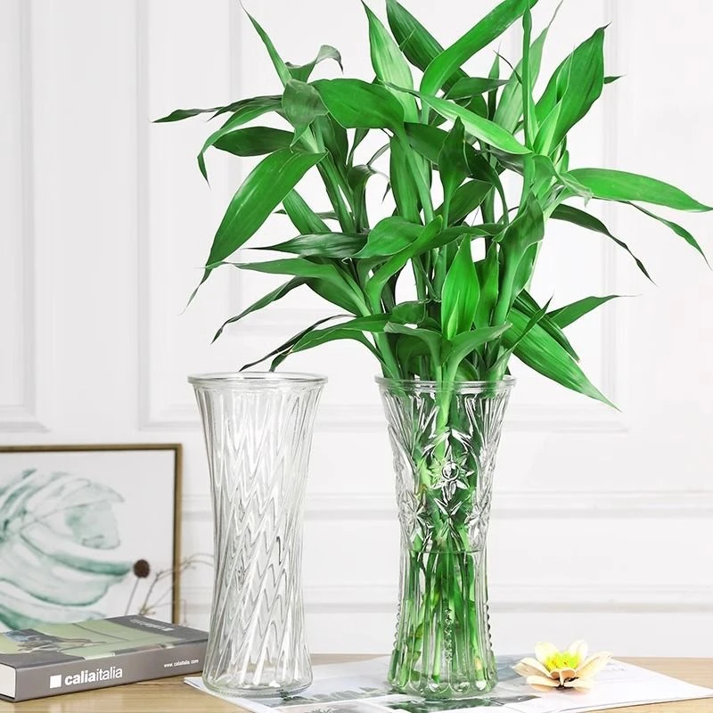 加厚透明北欧风玻璃花瓶客厅摆件富贵竹百合花银柳装饰花纹随机