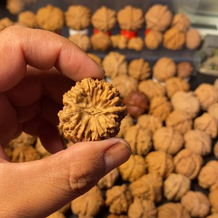 健***活大叶紫檀（黑酸枝木类）