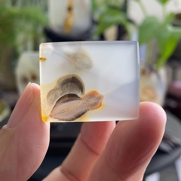 玛瑙/玉髓未镶嵌珠宝半成品