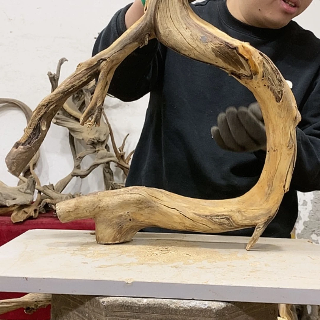 【闪购商品】柏木展****）我们都是好孩子