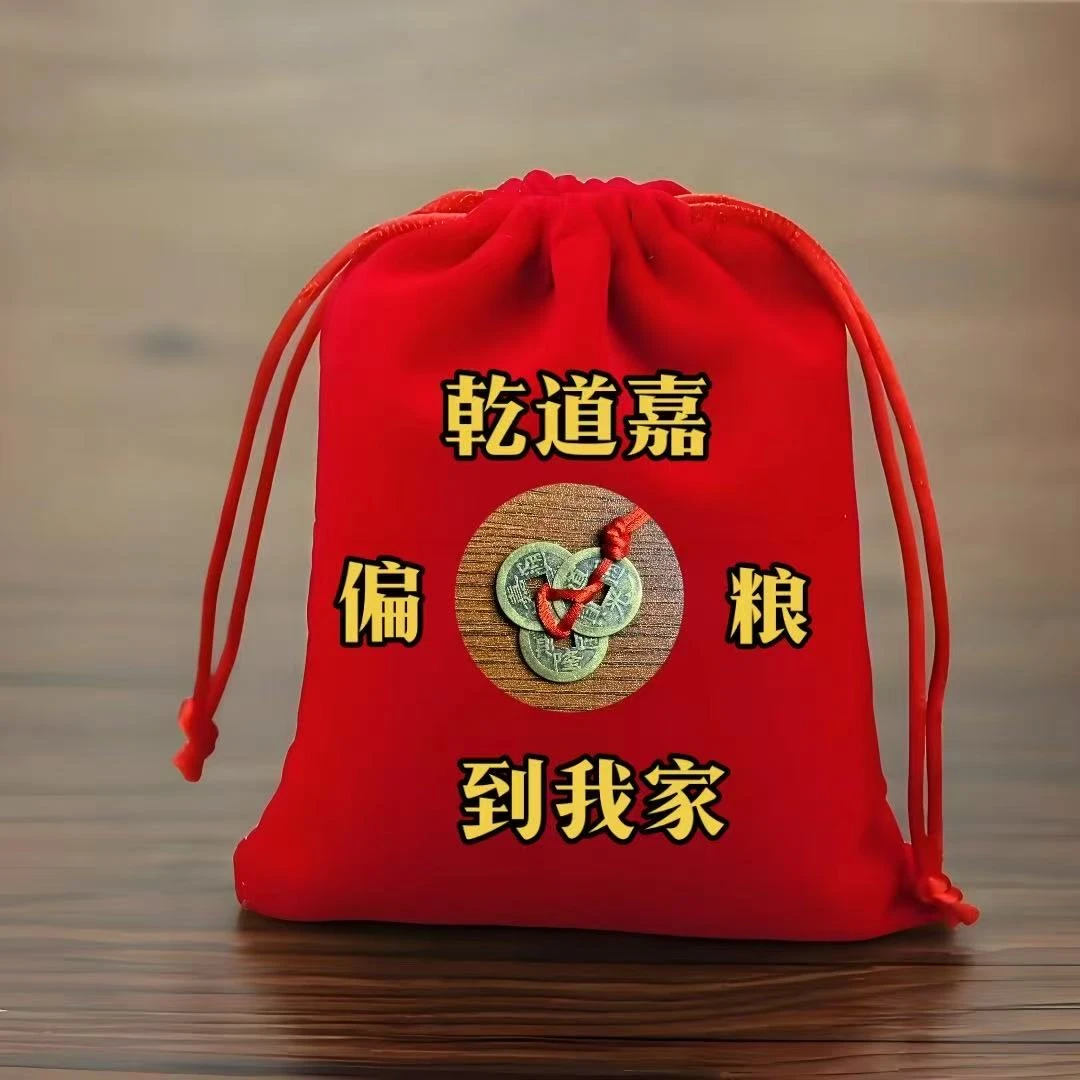 乾道嘉进到我家收纳袋