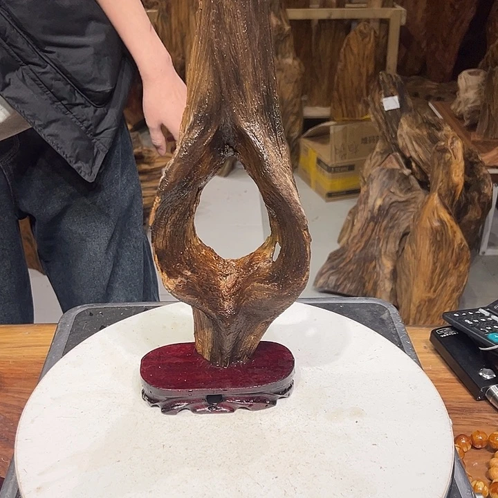 松木（琥珀木）自*