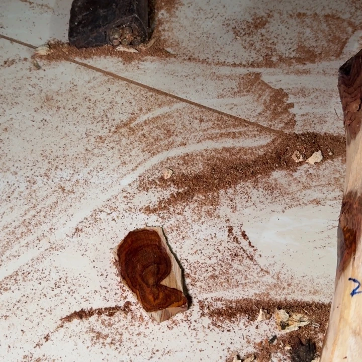 *****木海南，海北飞灰尘。甘受商于仪诳楚