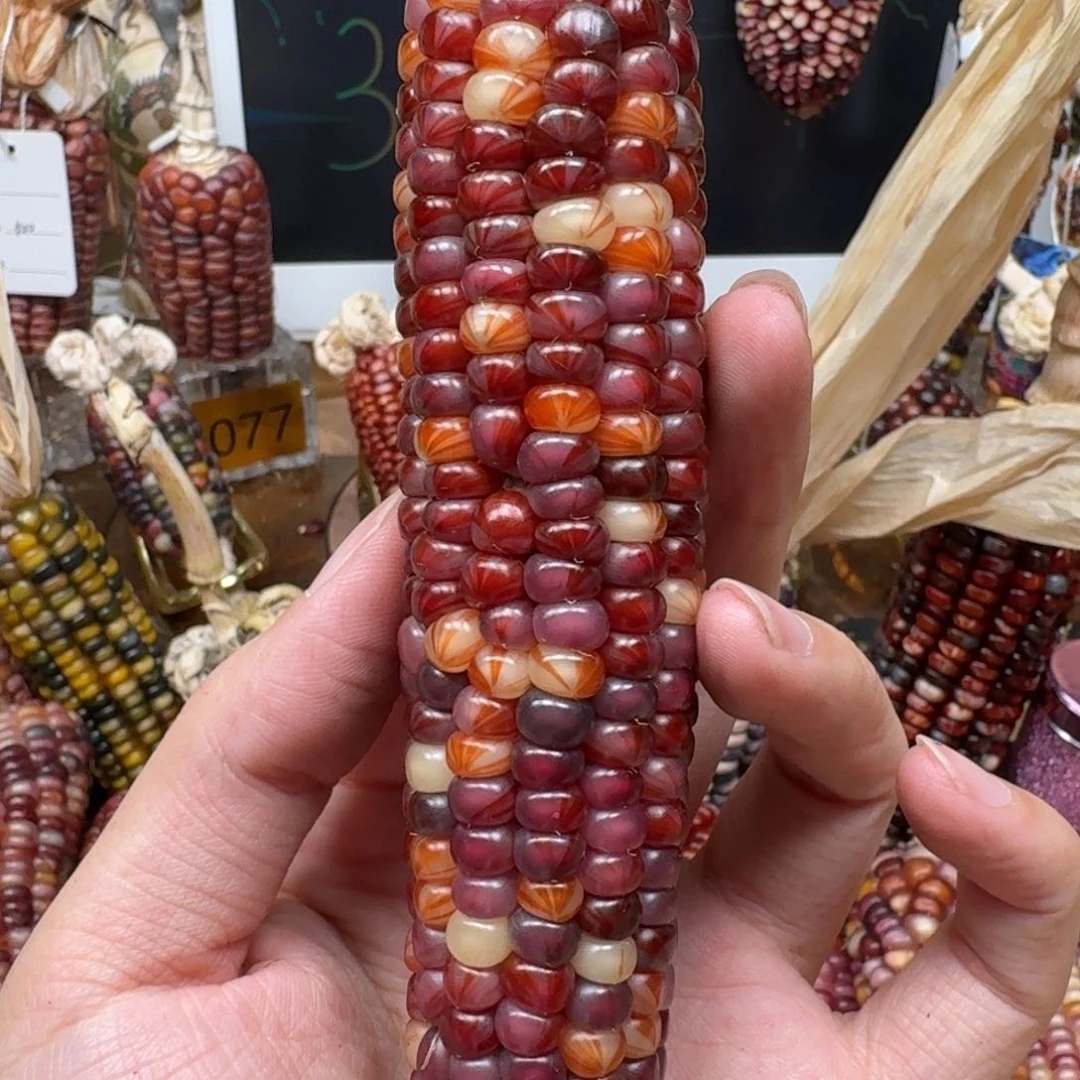 柏香籽/百香籽吊坠佩**姐