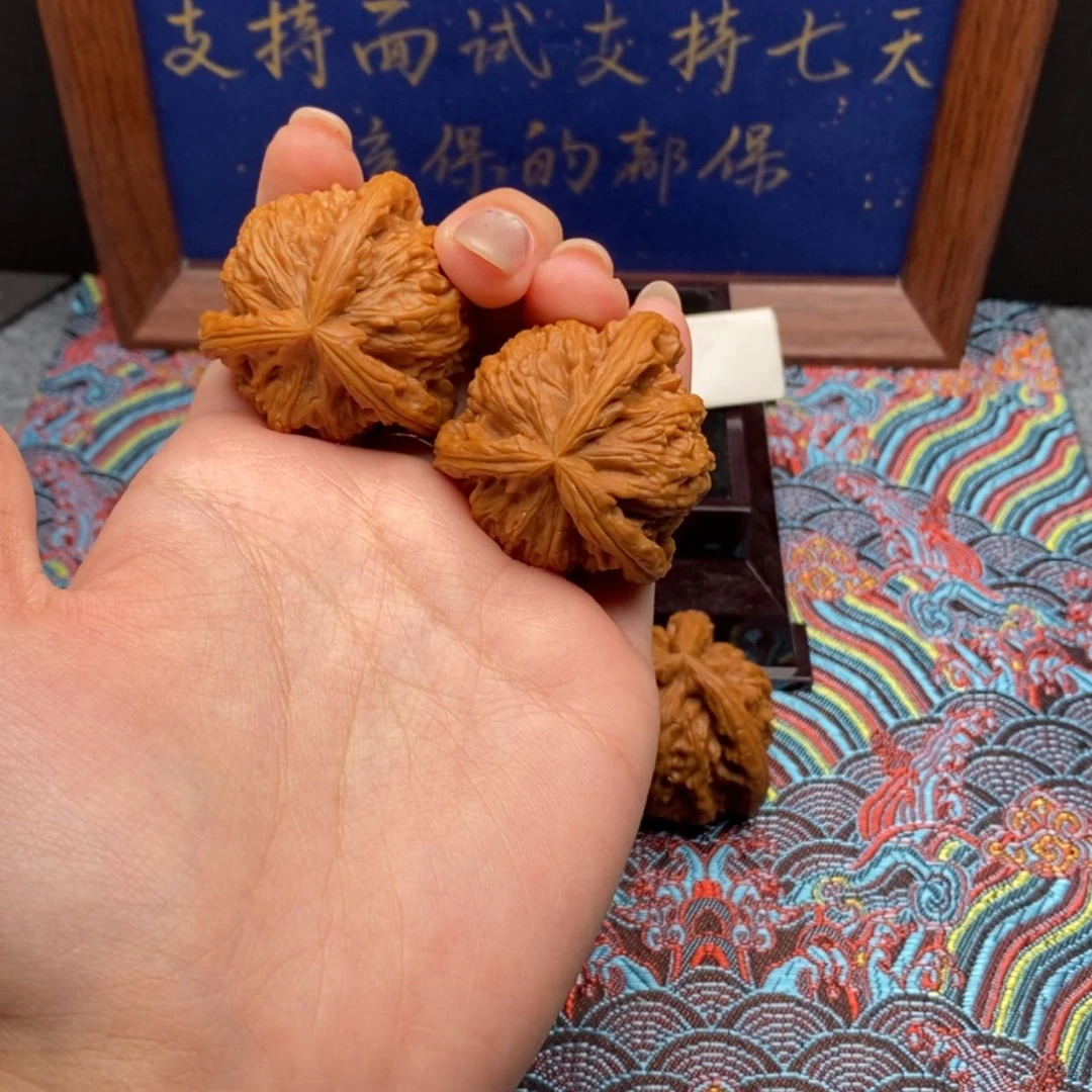 【闪购商品】愿****o白狮