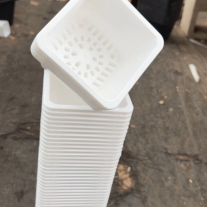 100白方盆9公分高7公分50个