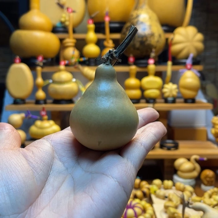 亚***连天然葫芦自然生长