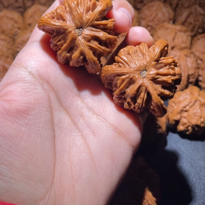 天***信桃核吊坠小妹三棱