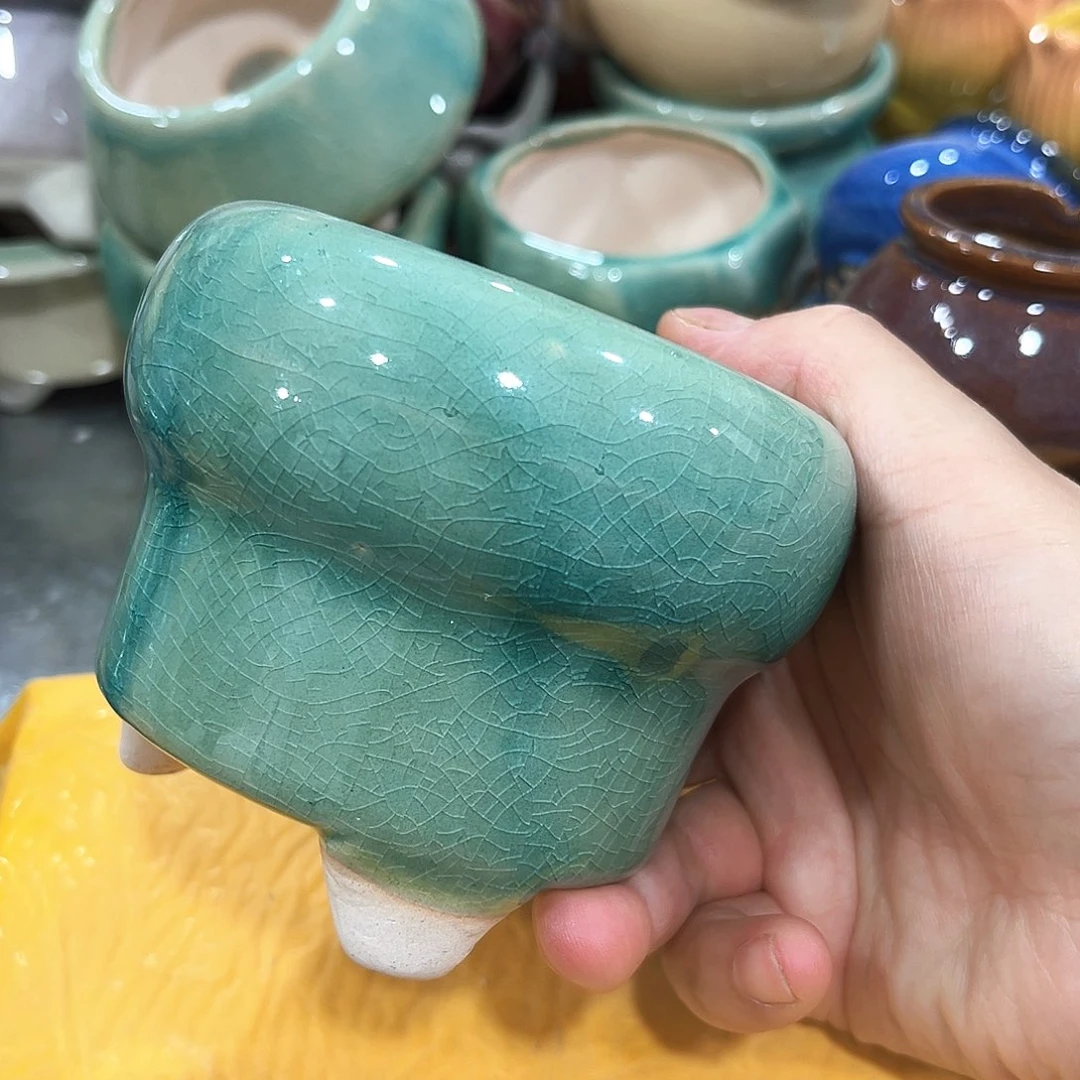 花盆花盆花盆花盆花盆花盆花盆