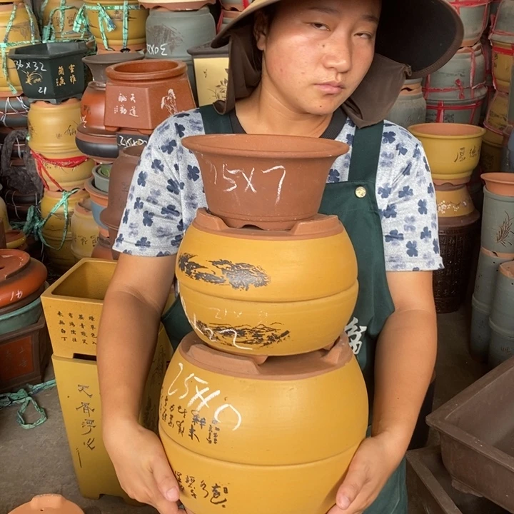 紫砂花盆盆栽花卉苗木种植