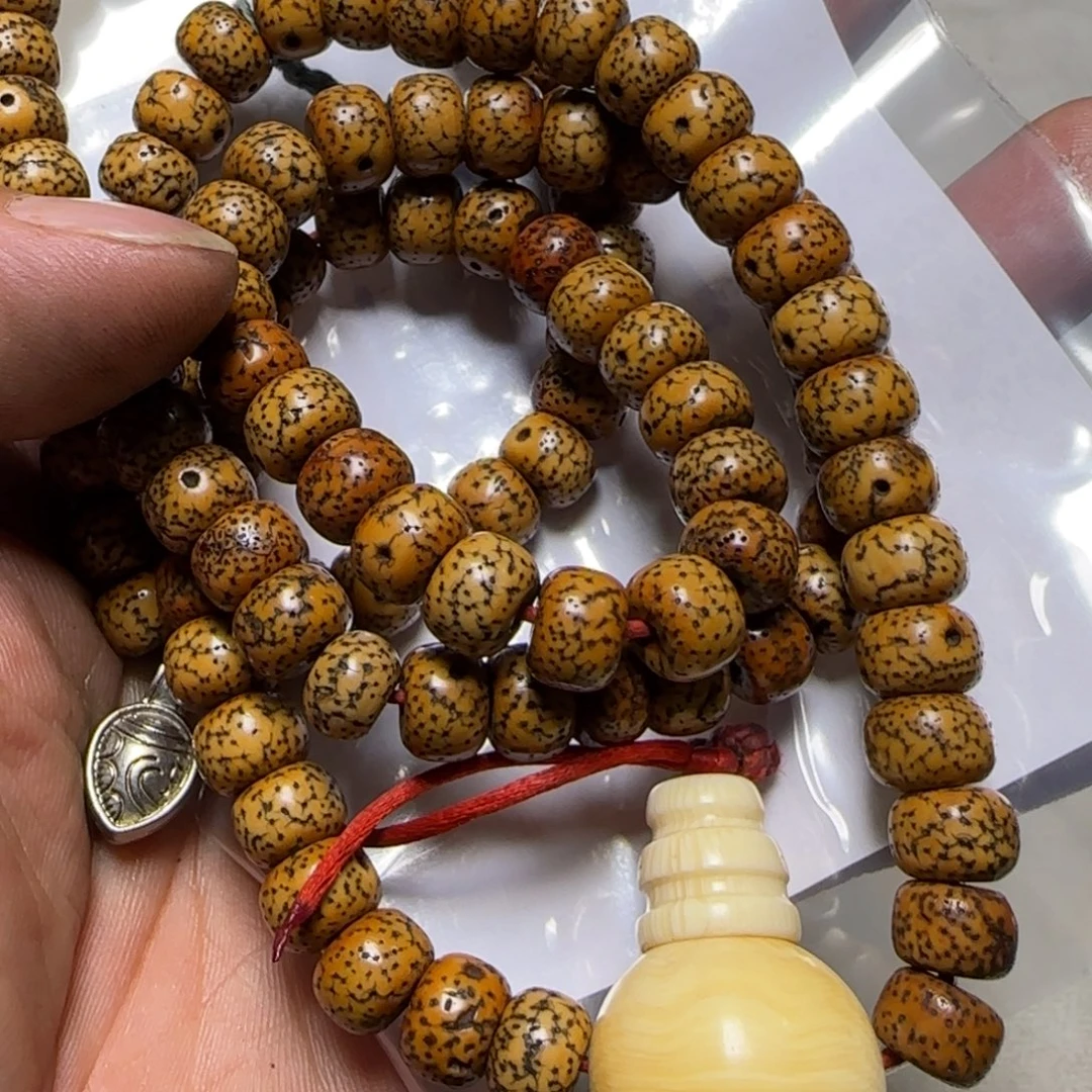 罗***本藏地回流杂件福利罗本