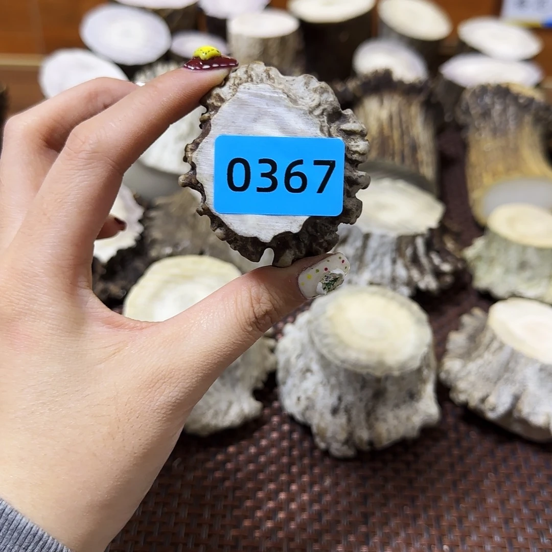 鹿骨手串/手链角帽0367