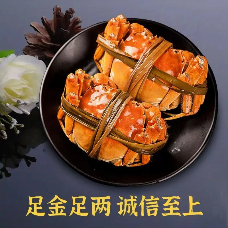 【活蟹】江苏精品蟹河蟹【母蟹】规格1.7-2.0两拍8送4只顺丰包邮