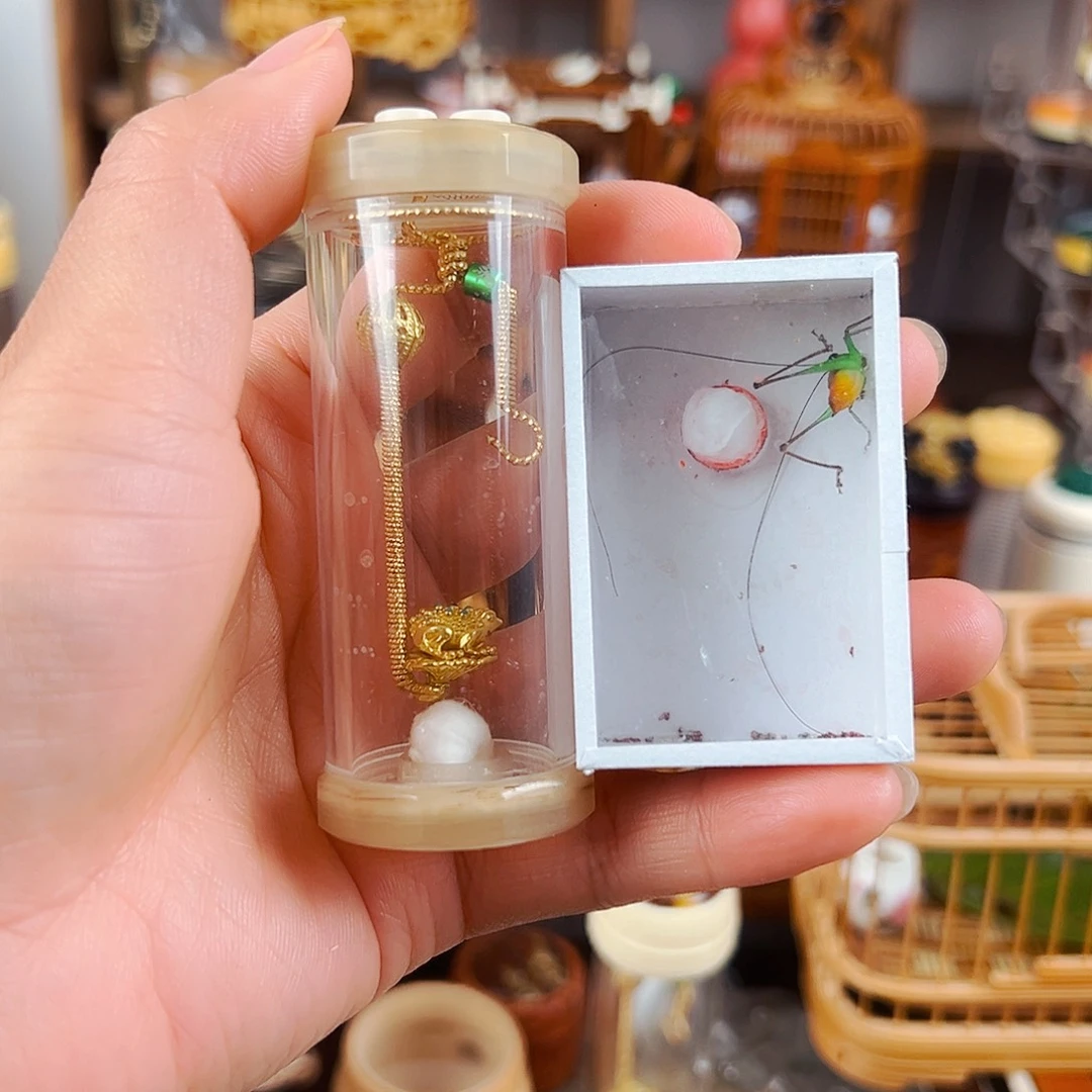 木牛角十二边竹蛉筒➕金蟾攀爬簧➕糖果