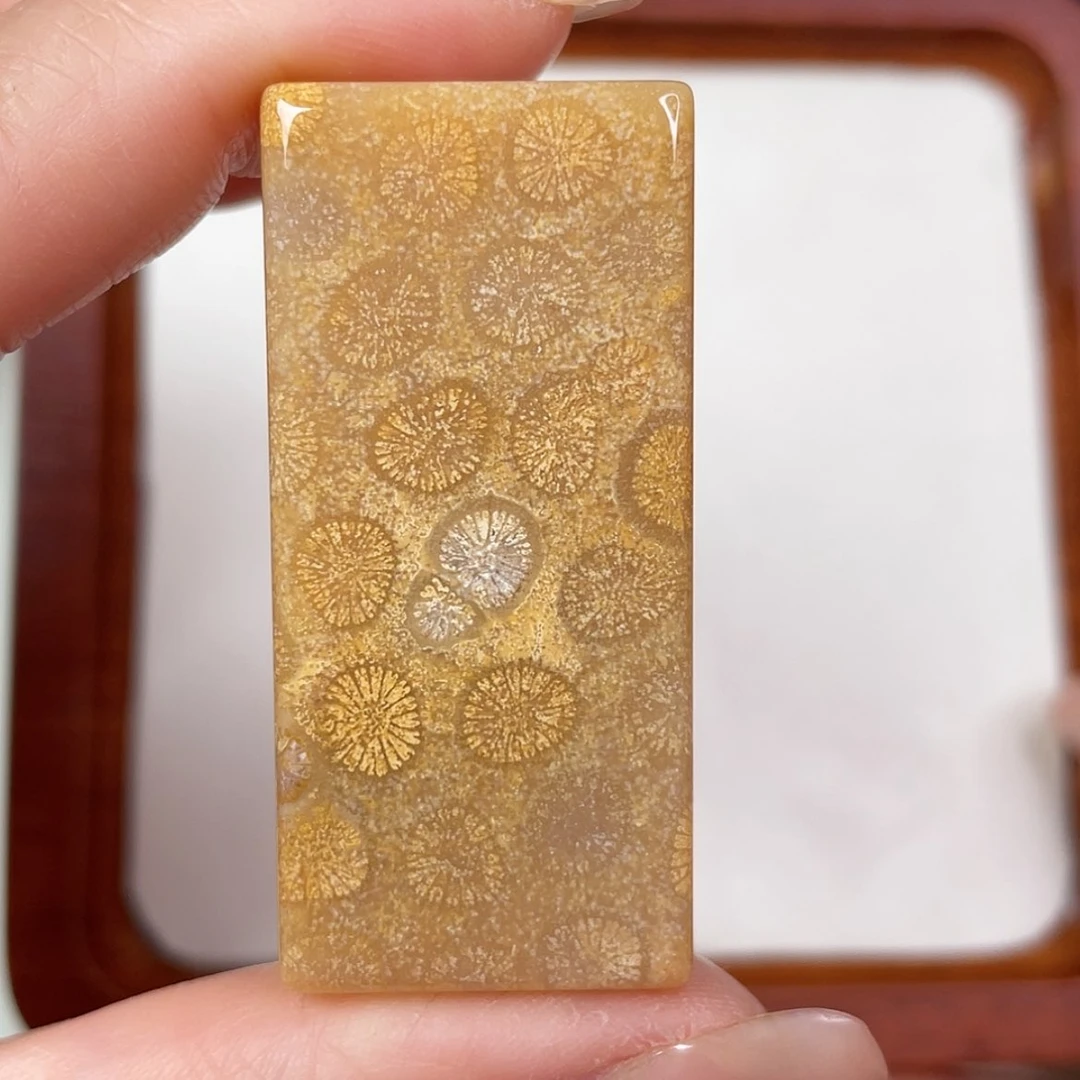 【闪购商品】未镶嵌吊坠(赠链)硅化玉