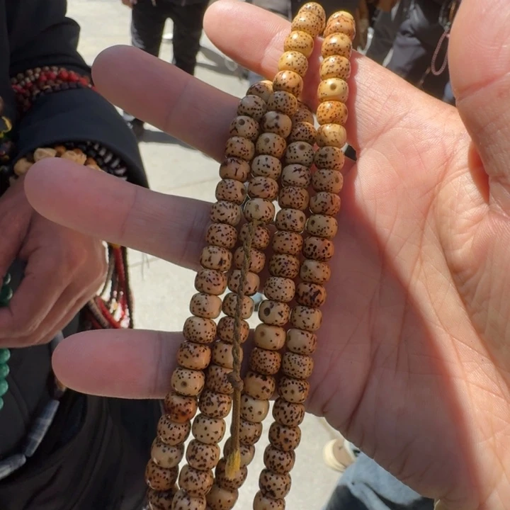 星月菩提吊坠开*菩提树等树木的生长发育