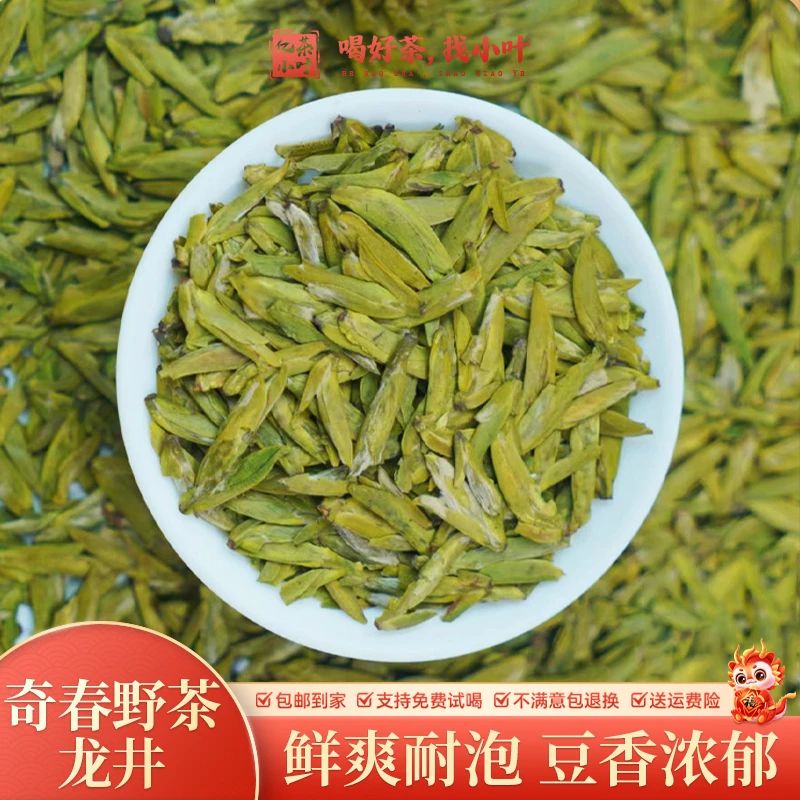 2025年新茶头春头采奇春大芽野茶龙井黄版鲜爽耐泡豆香浓郁