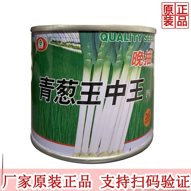 青葱日本铁杆一本大葱葱种种子山东章丘钢葱耐热蔬菜耐寒种籽