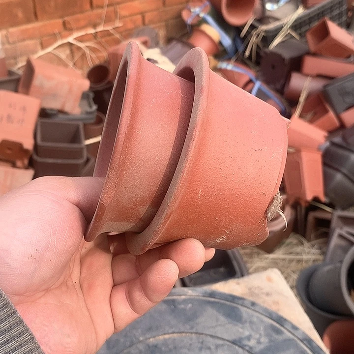 紫砂优秀青年科技人才创新人才