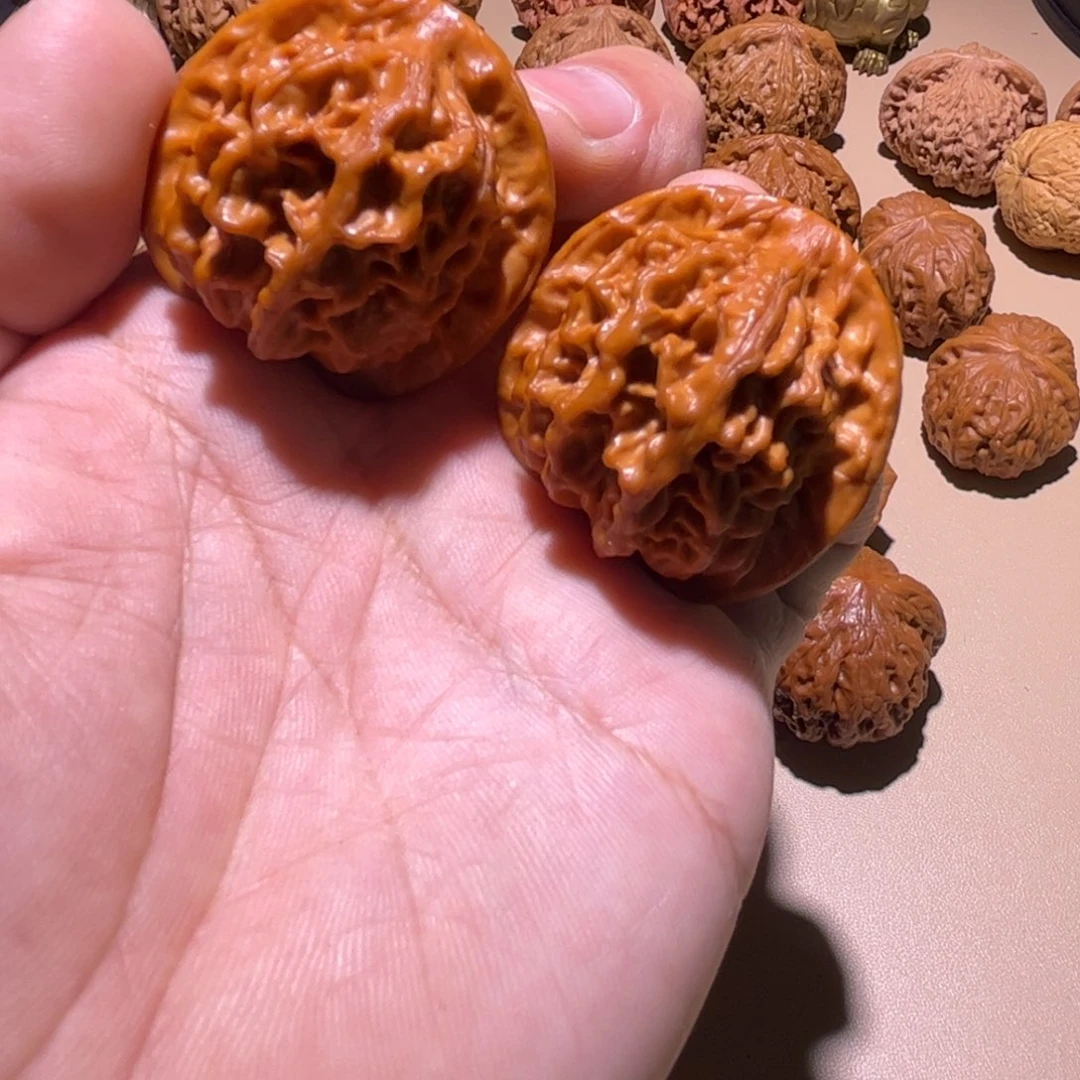 大叶紫檀（黑酸枝木类）原树天地