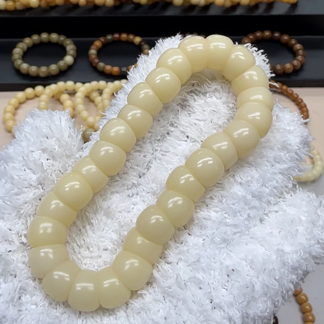 菩提根/象牙果手串卡12 精工 5年 大肠