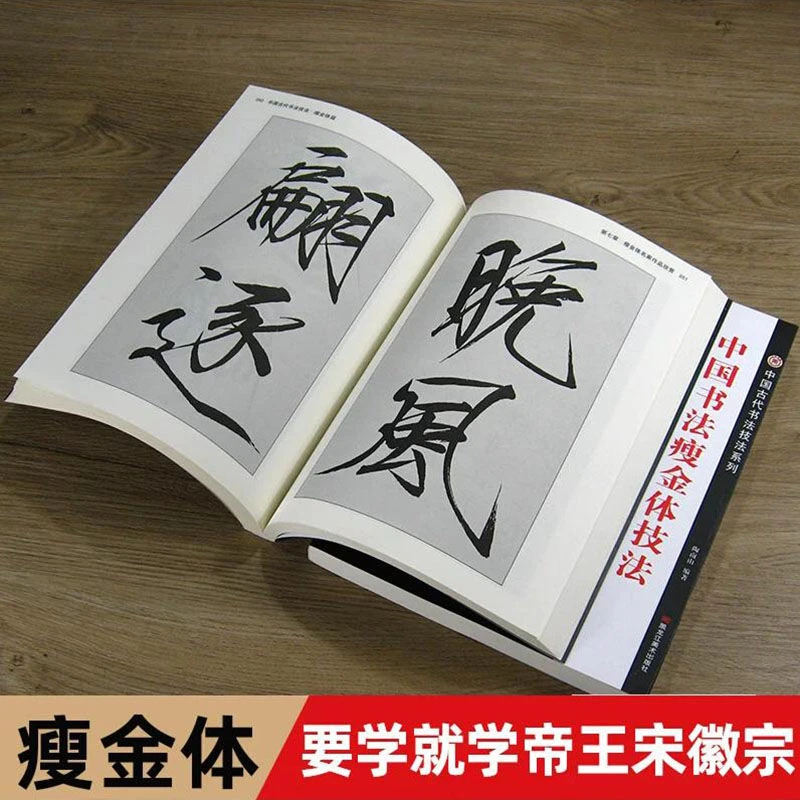 中国书法瘦金体技法毛笔软笔硬笔字帖宋徽宗瘦金体千字文技巧教程
