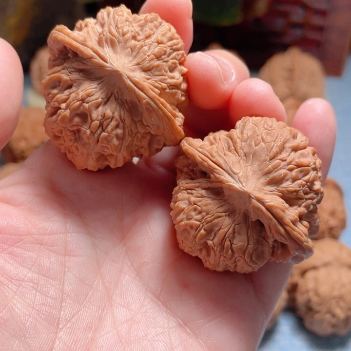 40尺寸隆洞欲狮子头