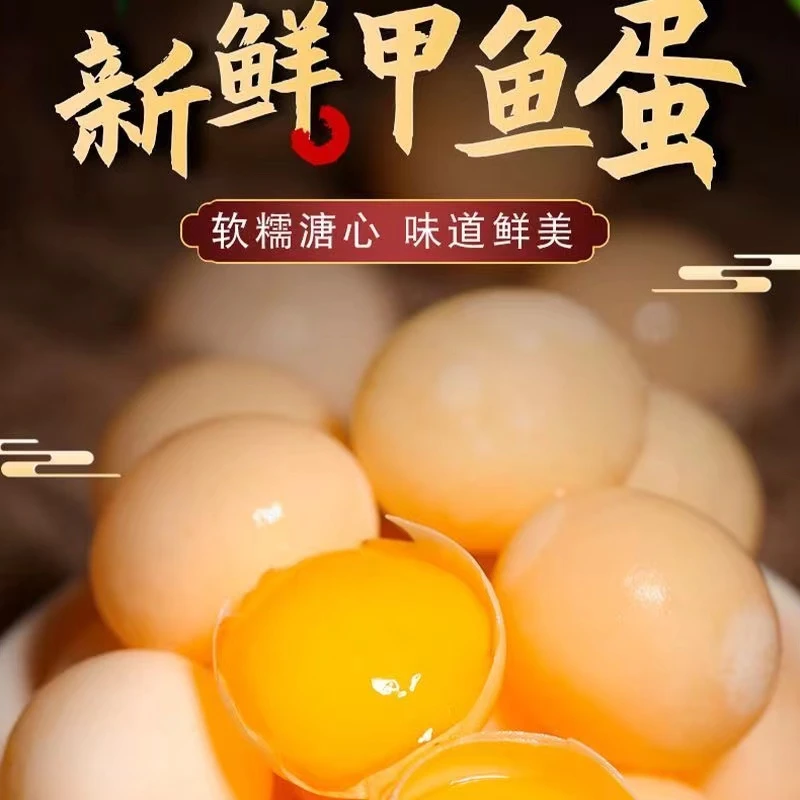 新鲜现挖甲鱼蛋送煮法食谱卤料包所有人群都可食用