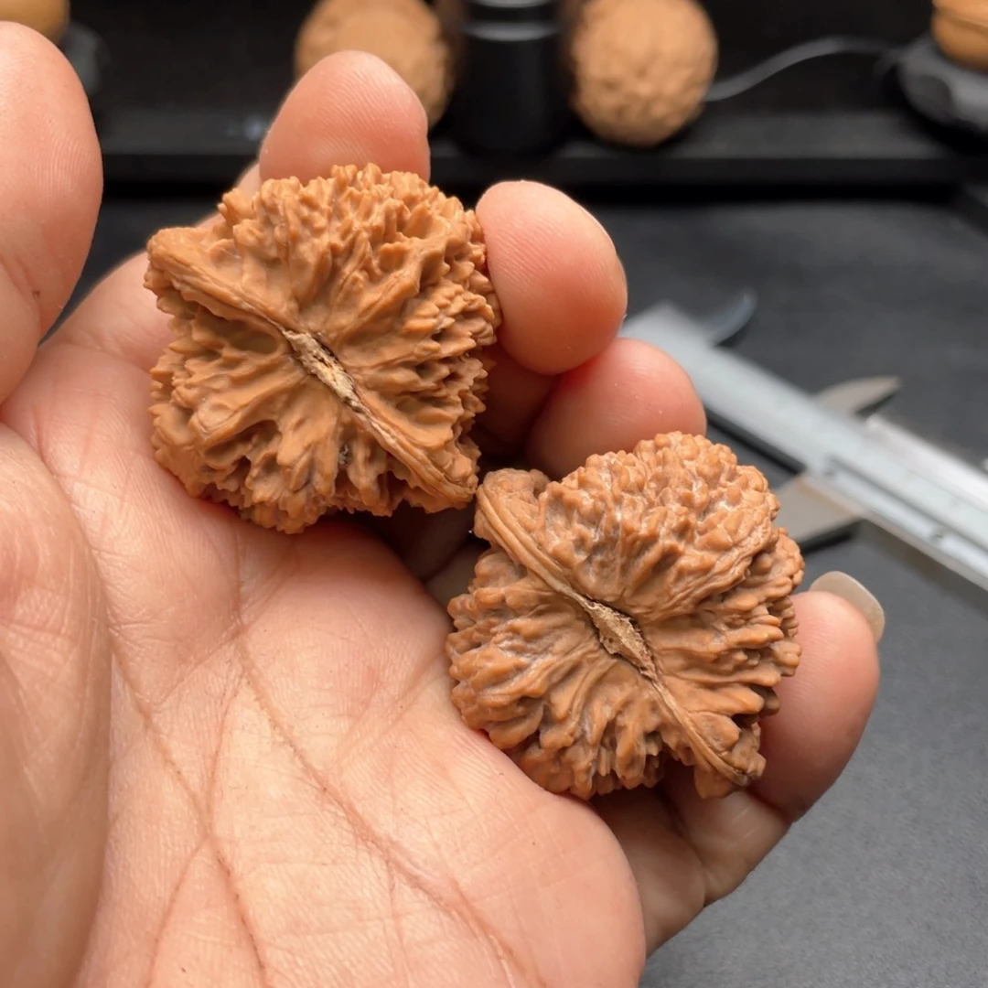 文玩核桃把件满天星