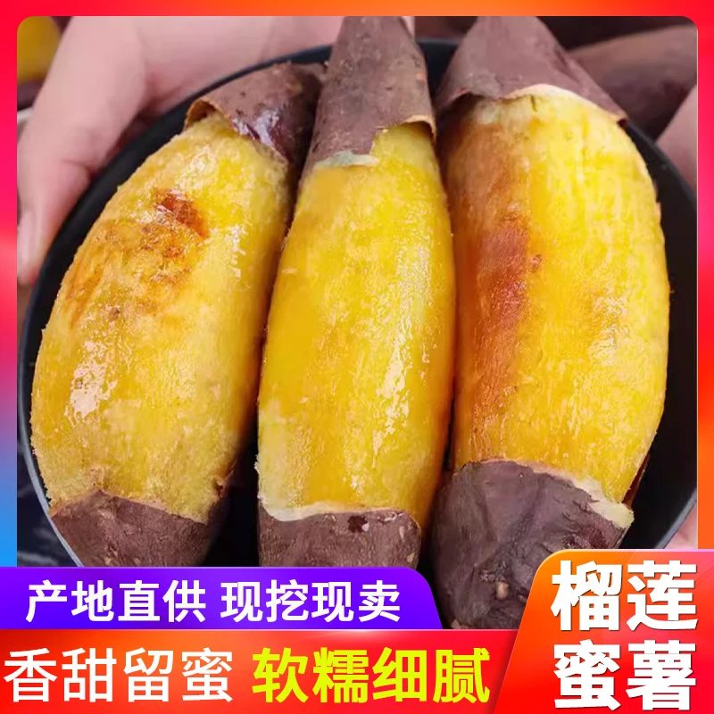 云南正宗榴莲蜜薯/黄金榴莲蜜薯/已糖化成熟香甜软糯