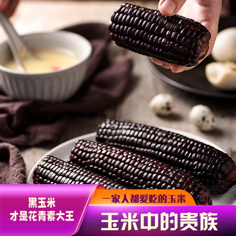 【试吃2支】东北黑糯玉米富含花青素拍10送2支到手12支6.5斤