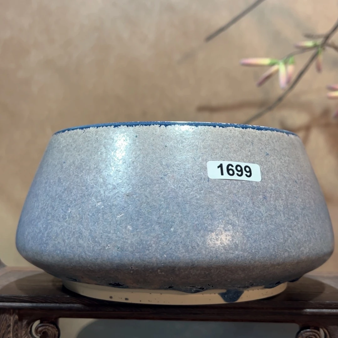 罐玲*1699000000000