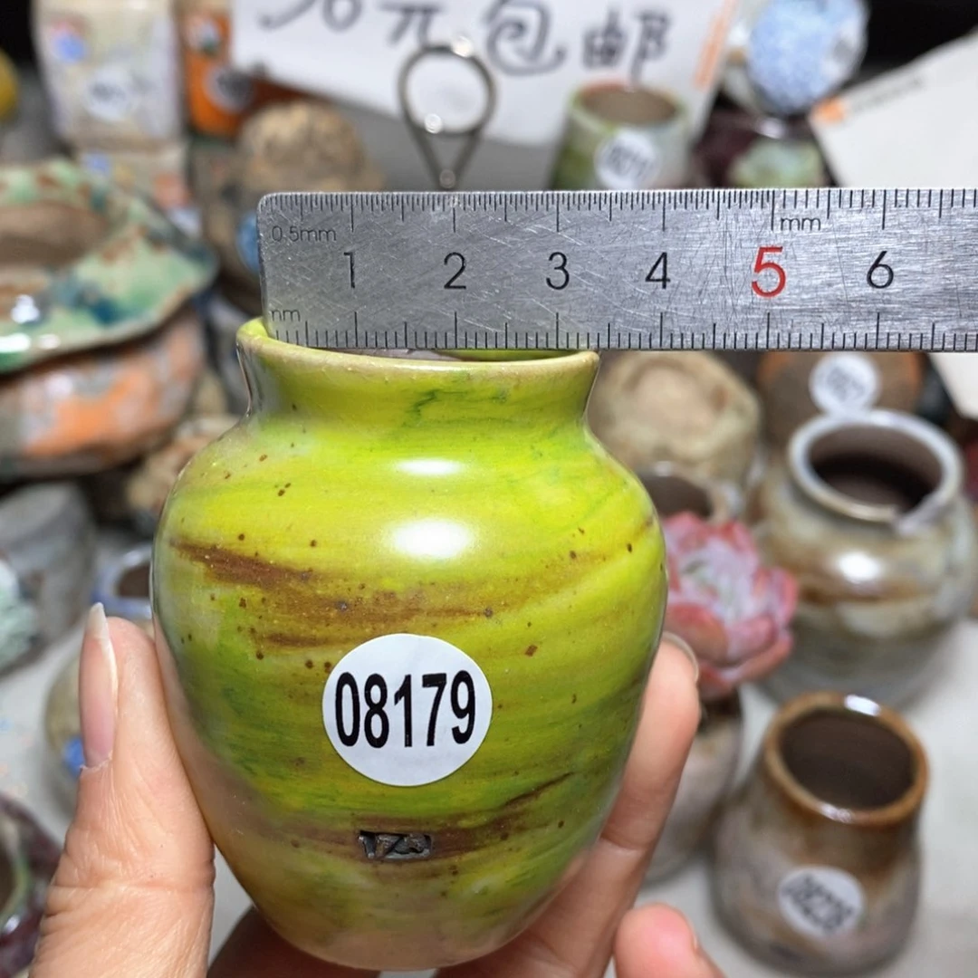 花盆拍5送一个小礼物