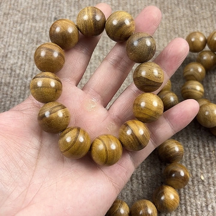 木巴布亚贡木2.0。。。。。。