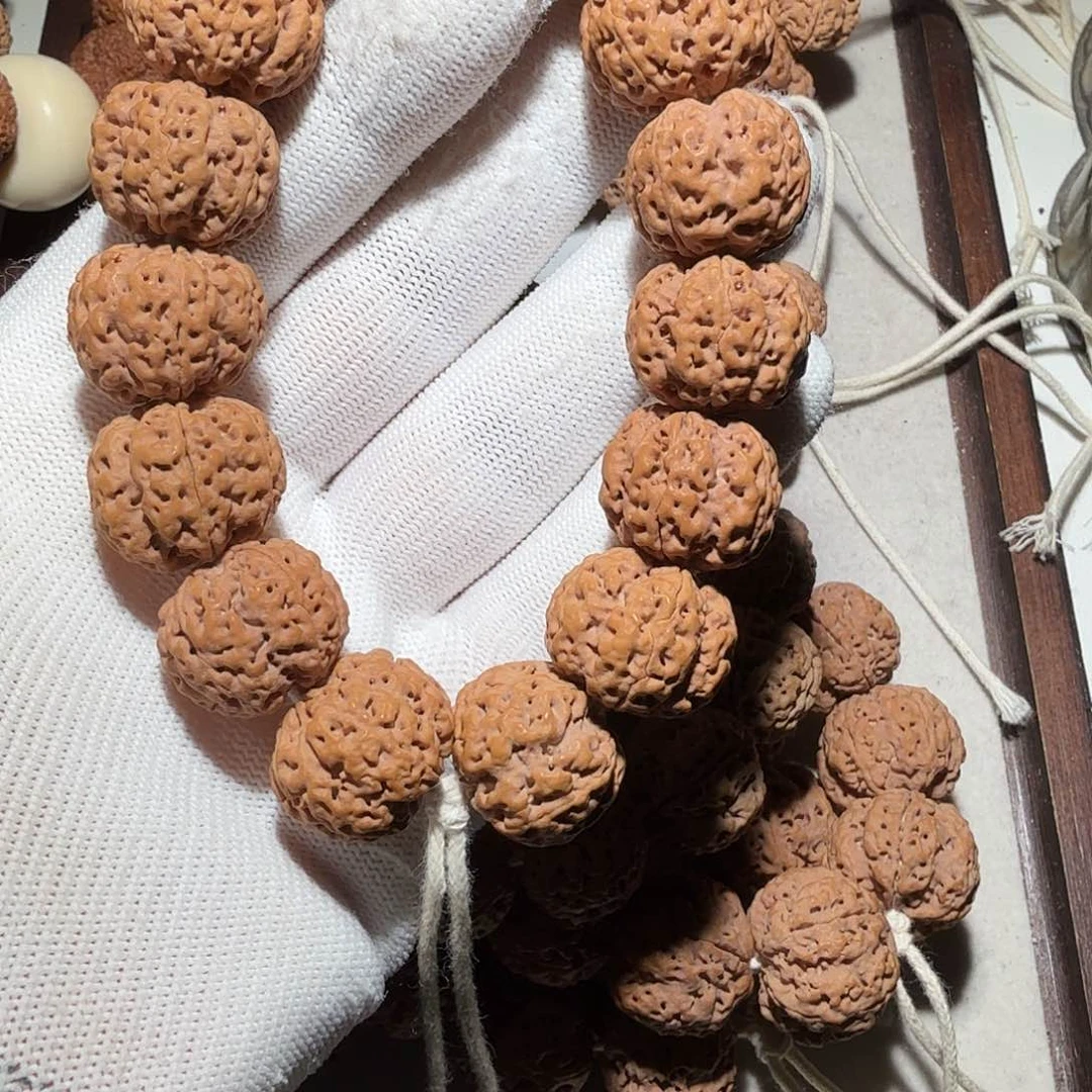 金刚菩提吊坠小*金刚菩提 一物一图