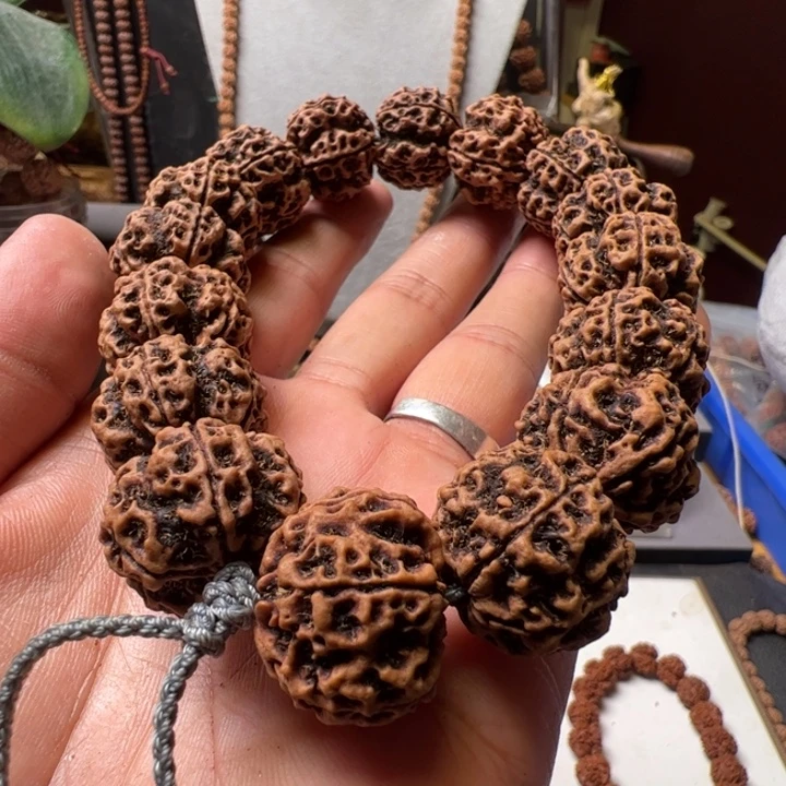 金刚菩提手串22➕古龙大梅花