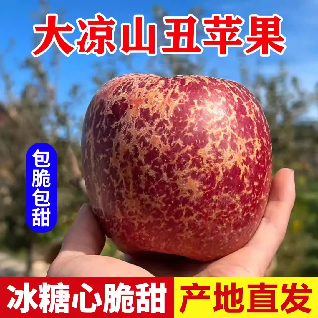 精品四川大凉山盐源保冰糖心丑苹果当季新鲜水果整箱包邮产地直发