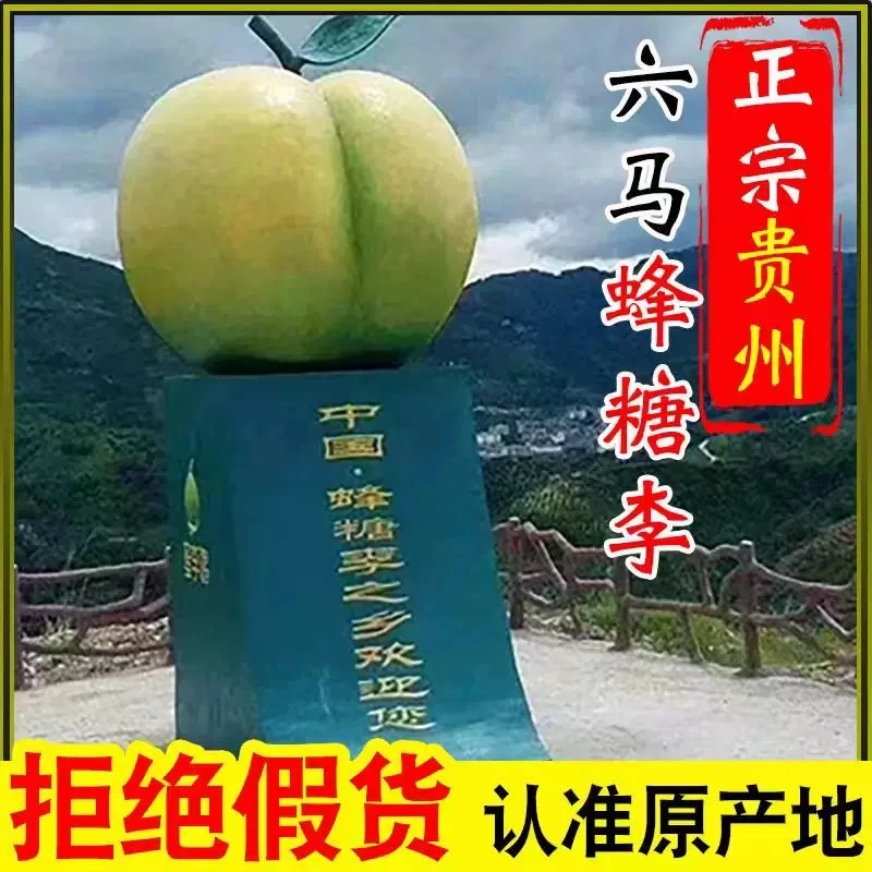 【空运】贵州镇宁六马蜂糖李产地果园直发爆甜爆汁新鲜采摘脆甜如蜜