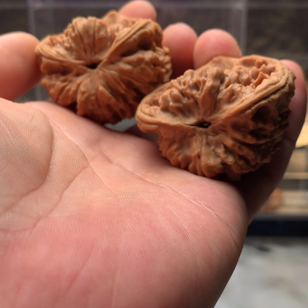 ****J吊坠文玩核桃官帽666888