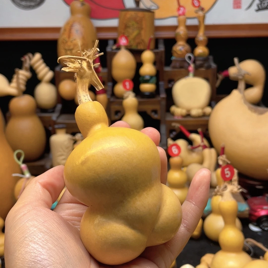 叫****呀大自然的秘密第十一节的故事