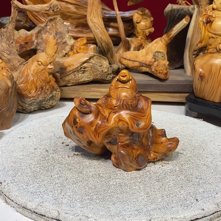 柏木（崖柏）888888888