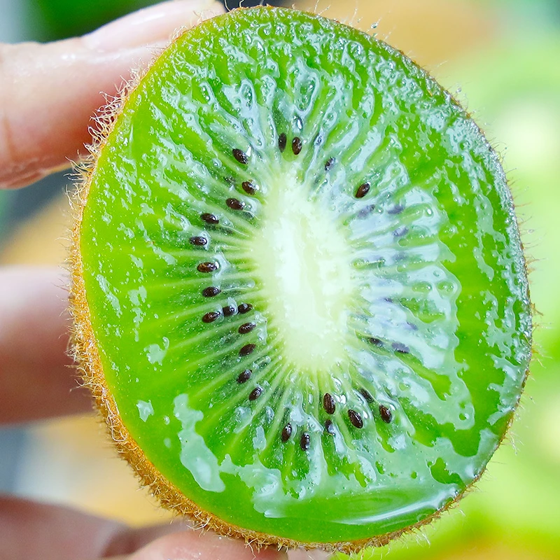 【京东】陕西周至徐香猕猴桃新鲜绿心奇异果正宗当季水果香甜多汁