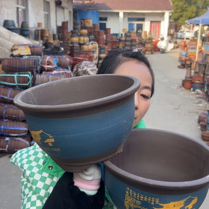 21+21蓝江南水乡三角金钟花盆花盆