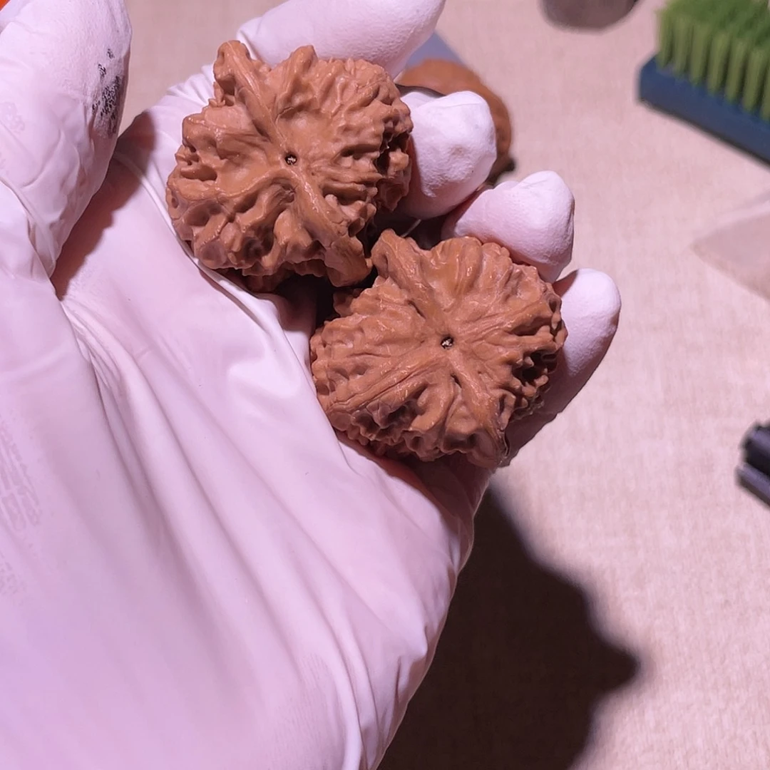 【闪购商品】35野狼