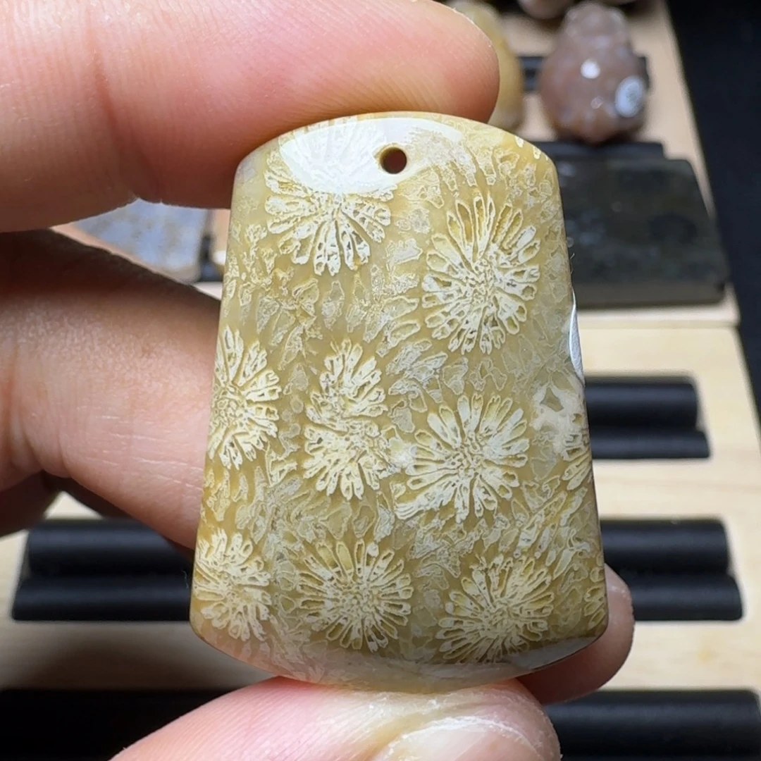 未镶嵌纯天然色有机玉石保真色硅化玉