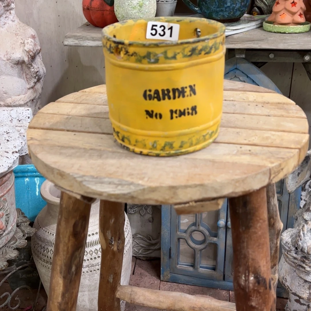 许纯的花房 孤品531